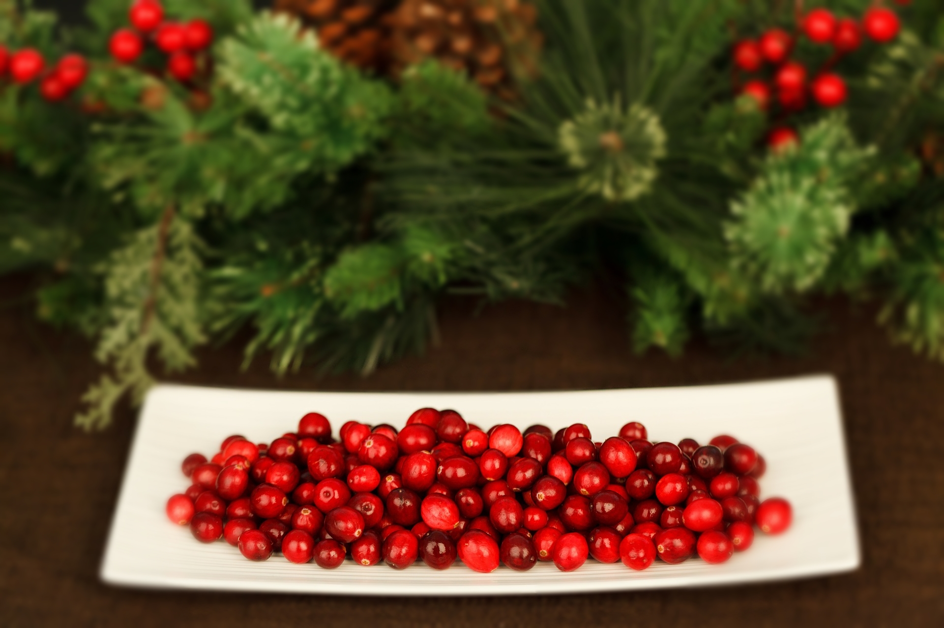 Cranberries: Fall in Love with This Powerful Red Fruit